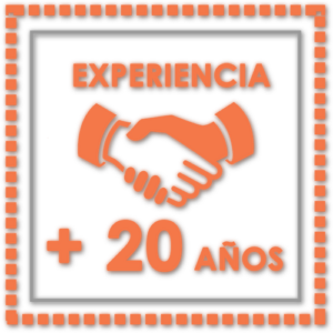 EXPERIENCIA